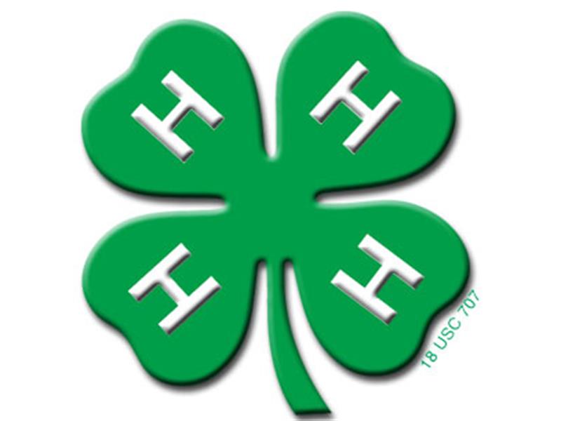 Fair Logo