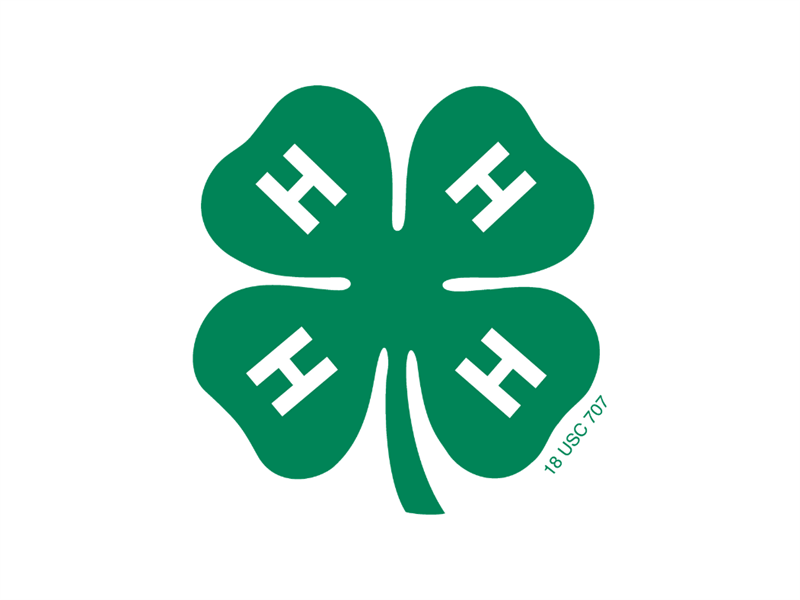 Fair Logo